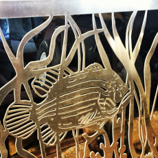 grouper-in-sea-grass