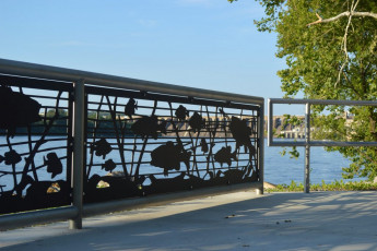 muscle-shoals-al-railing-fish-bass-pike-8