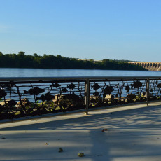 custom-deck-railing-by-naturerails-44