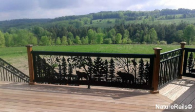 Metal Railing - Swallow and Bear in the Forest- #CS 575 - By NatureRails.com