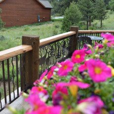 Railing balustrade with deer and spindles