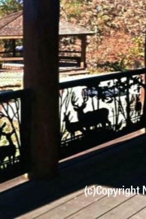 Custom Railing Photos For Balcony Deck Or Stairs Naturerails 6100 Custom Outdoor Railing